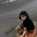 쏨 Daum카페