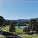 근영농산(주)양주컨트리클럽 이미지