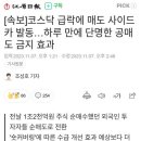 어디 공매도 뿐이랴~ 이미지