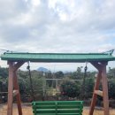 수줍은 언니네 이미지