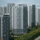 메이플동물병원 이미지