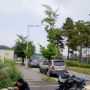 공주(대전) 이미지
