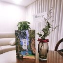 한빛건기 | 가장 멋지게 여행하는 방법, 까론비치, 빠통비치 볼거리, 피피섬 투어 후기, 클룩, 그랩, 볼트 이용 후기
