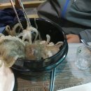 한민횟집