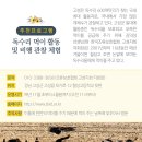 지중해소나무 이미지