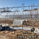 선원면-7 이미지