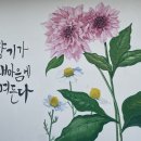 태백산건강원 - 영월군 중앙1로 36 | 용문산 맛집 분위기 좋고 깔끔한 한옥밥집 뜰안채 방문 후기(ft.산채비빔밥, 도토리묵밥)