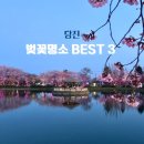 연못1길 19, (문화동) | 당진 벚꽃명소 3곳 정리 / 2026년 벚꽃 개화시기 충청권 예측