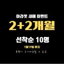 아라핏 이미지