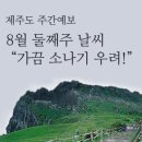 (주)피앤피제주