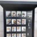 동구꽃백화점 이미지