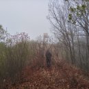 가제산 정상 이미지