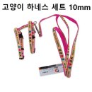 펫스 이미지