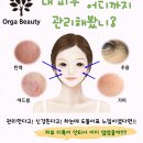 올가뷰티 이미지