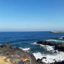 제주 올레길 16코스 이미지