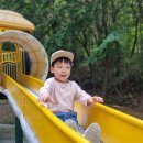 디저트39울산 - 북구 송정25길 2 | 디저트39울산