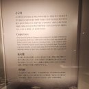 복천박물관 | 부산 복천박물관 후기: 고분에서 나온 시간이 전시가 되다