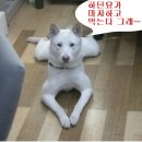 웃으면복이와요 이미지