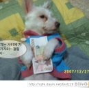 돈이조아 이미지