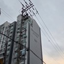 멍멍택시1 이미지