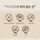 캣러브 | [체험단] 카니러브 캣 그레인프리 오리와꿩 고양이 사료 후기