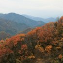 무주읍200 이미지