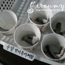 힘쎈수달 이미지