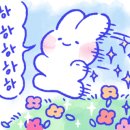 바로출장손세차 이미지