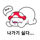 장위9 | 연말에 영어회화 루틴잡는 방법_장위영어회화 후기