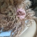 나온동물병원 이미지