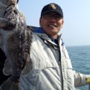 바다낚시 - 영덕군 축산항길 21 | 바다낚시