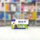 정이캣 네이버블로그
