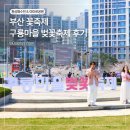 구룡 | 부산 영도 제6회 구룡마을 벚꽃축제 솔직후기