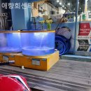 애향길 | 안양횟집 애향회센타 고급활어