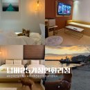 넘버25 | 부산 기장 애견동반숙소 추천 깔끔하고 조식도 주는 넘버25 기장연화리점 내돈내산 후기