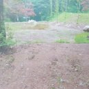 남한산성면-1 이미지