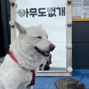 뽀송하랑 이미지