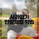 칠년풍년