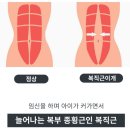 M.J 산후조리원 | 안챙겼다가 후회하는 출산가방 필수템 맘바디산후복대