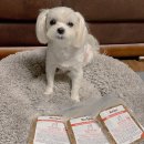 (주)레시펫 이미지