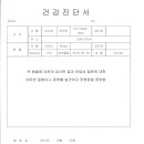 마이주