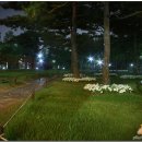 종각네거리 이미지