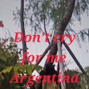 Don't cry for me Argentian 이미지
