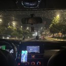 아남농장 | 투어, 화이트샌듄, 용과농장, 레드샌듄, 피싱빌리지...튤립스파, 기념품 쇼핑, 더아남무이네, 더아남수영장