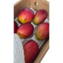 애플망고 이미지