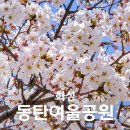 화성도시공사 체육시설 1부 동탄여울공원 축구장 | 경기도 숨은 벚꽃 명소 동탄 여울 공원 데이트 코스 추천