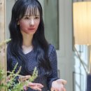 백서라 카카오 검색결과