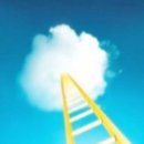 루프리텔캄 이미지