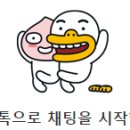 브링미파티
