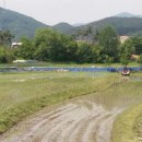 신천1리 마을회관 이미지